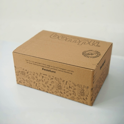 Boîte de carton à fermeture à glissière, boîte d' expédition ondulée pour vêtements.